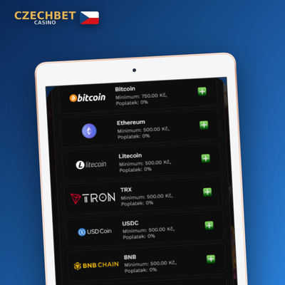 Předplacené vouchery Paysafecard a CashtoCode pro anonymní vklad v Czechbet Casino